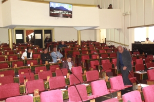 La salle des séances presque vide au début de la séance du jour à Tsimbazaza.