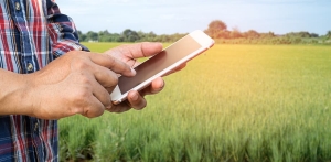 L&#039;agriculture intelligente requiert l&#039;utilisation d&#039;outils de prévision météorologique et pluviométrique