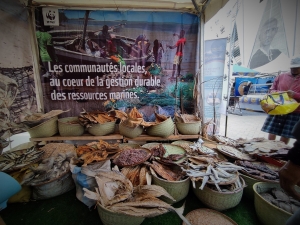 Ces fruits de mer séchés à la façon traditionnelle offrent un goût particulier et sont très nutritifs.