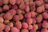 La région Atsimo Atsinanana constitue environ 10% de la production de litchis à Madagascar