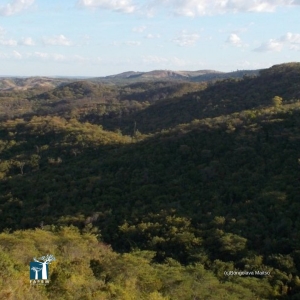 L’association Fikambanana Bongolava Maitso (FBM), gestionnaire de la Nouvelle Aire Protégée « Corridor Forestier Bongolava »