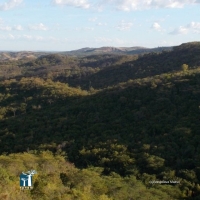 L’association Fikambanana Bongolava Maitso (FBM), gestionnaire de la Nouvelle Aire Protégée « Corridor Forestier Bongolava »