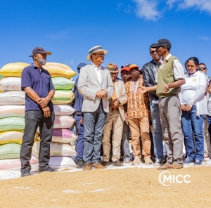 Entretien direct du ministre auprès des producteurs locaux à Imerintsiatosika