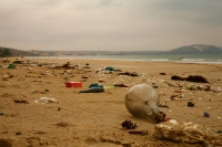 les déchets plastiques polluent l'océan
