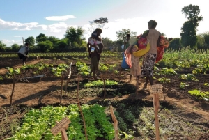 D&#039;après certains agriculteurs en Itasy, les ruraux ont déjà défini leurs conditions de travail selon leurs modes de vie respectifs. 