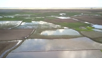 Le canal d’irrigation secteur numéro 3 couvre 20.000 Ha de terres cultivables à Marovoay. 