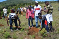 Les habitants ont recours au reboisement durant la célébration de la journée internationale des montagnes à Antsiranana