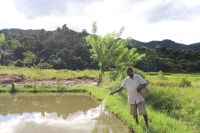 La pisciculture nourrie principalement les familles en brousse 