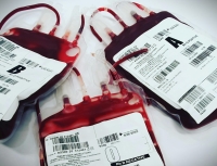 Les prix des poches de sang dépassent l’entendement