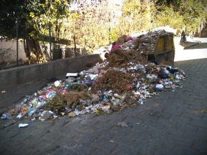 &quot; 80% des déchets collectés auprès des ménages malgaches sont organiques&quot;