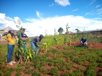 Les agriculteurs témoignent bienfaits de l’utilisation des engrais naturelle à leur production
