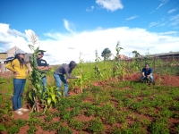 Les agriculteurs témoignent bienfaits de l’utilisation des engrais naturelle à leur production