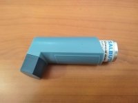 Le Salbutamol Spray est utilisé pour le traitement de la crise d’asthme