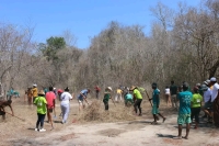 La célébration de la journée des lémuriens, poursuivie par un grand nettoyage dans la forêt de Kirindy, Menabe. 