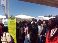 Durant le salon de l’université à Ankatso - Antananarivo