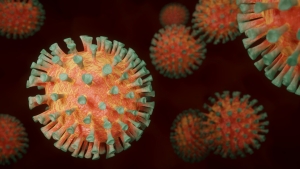 Le variant Omicron a été découvert en Afrique du Sud.  