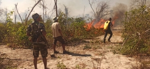 La maîtrise du feu à Ankarafantsika n&#039;a pas été facile.. 